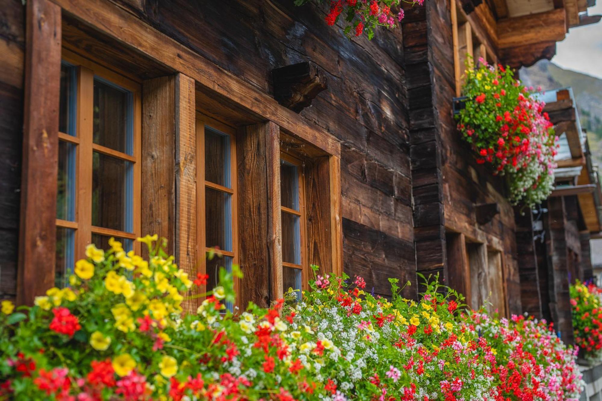 Chalet Schuler Zermatt Zewnętrze zdjęcie